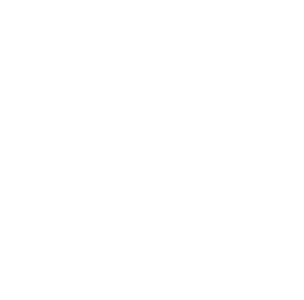 Dragon Tao Kung Fu
